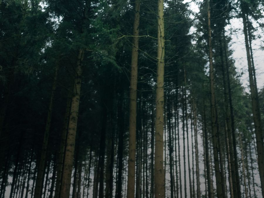 Men T-shirts and polo shirts